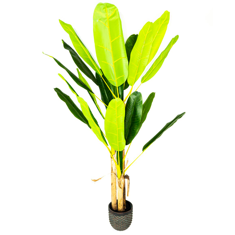 planta-artificiala-banana-tree-axa-studio-cluj-napoca